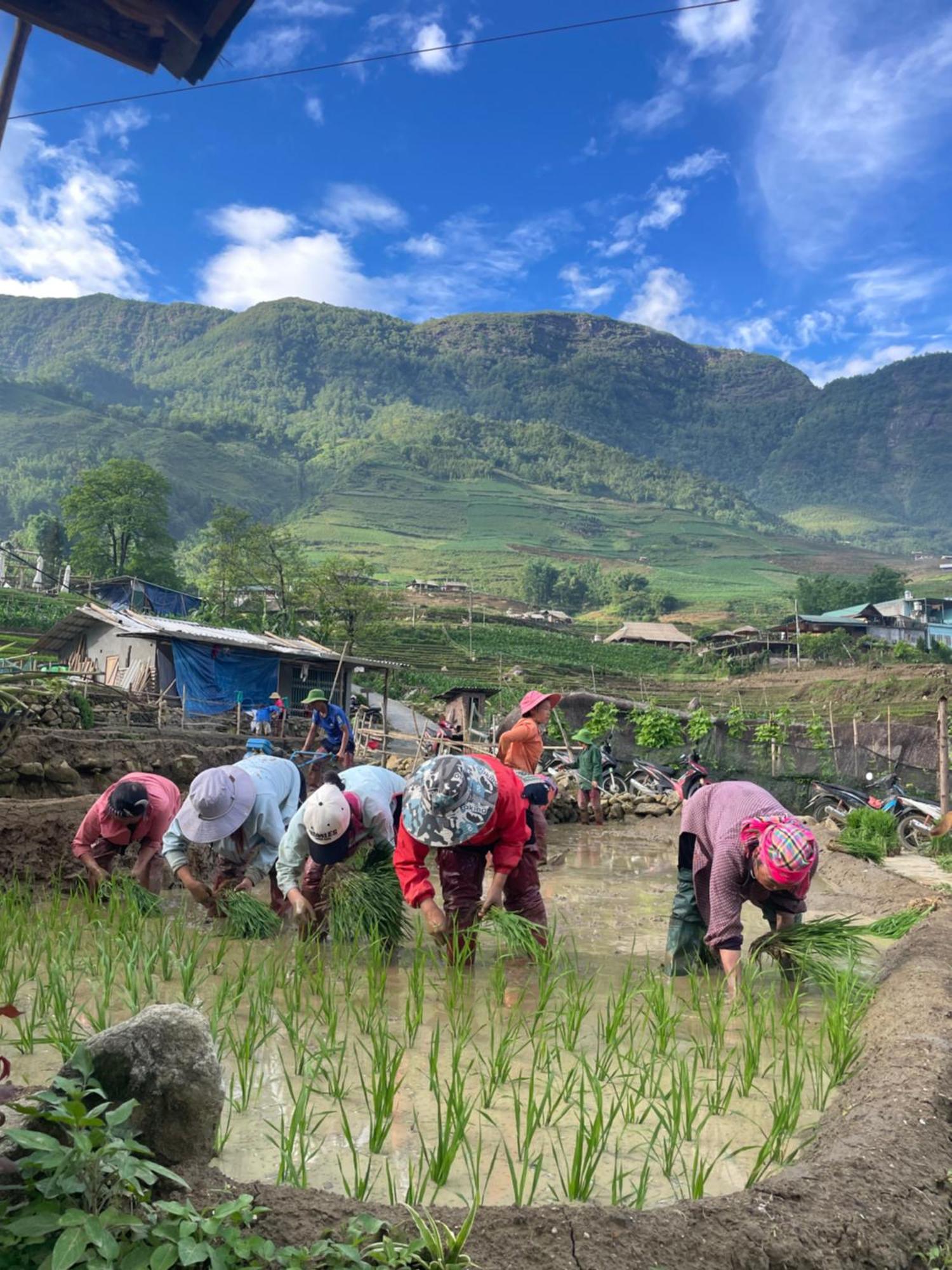 The Zen House Sapa Apartment Luaran gambar